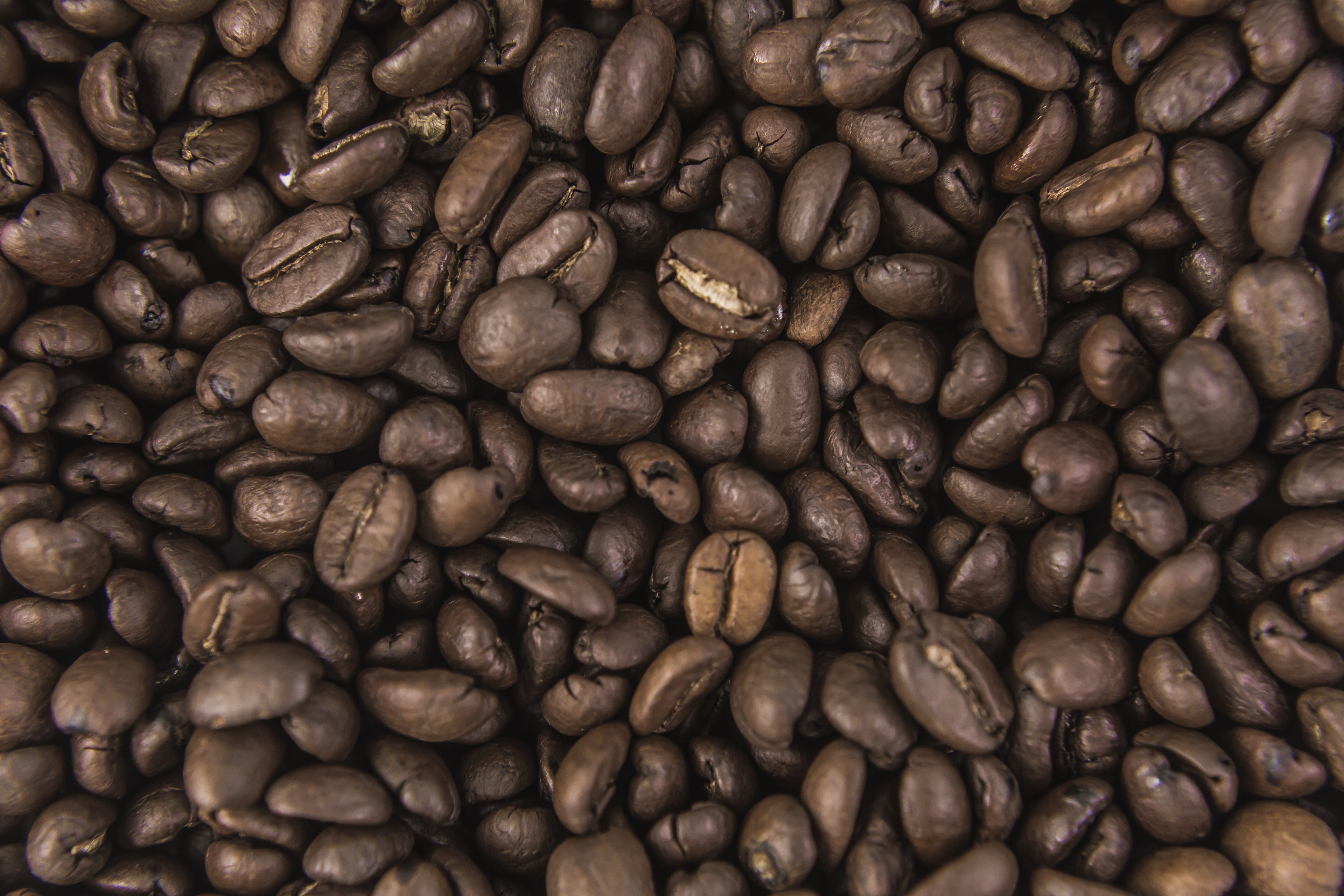 ETHIOPIA YIRGACHEFFE KOCHERE ROASTED COFFEE BEANS (250 Grams)