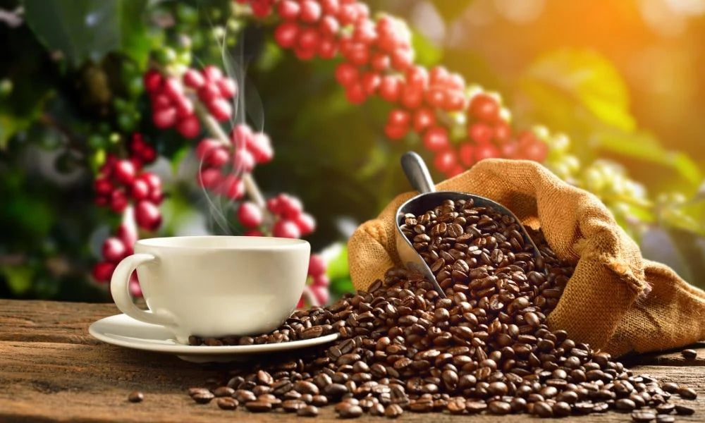 COSTA RICA TARRAZU FRESHLY GROUND FILTER COFFEE (1KG)