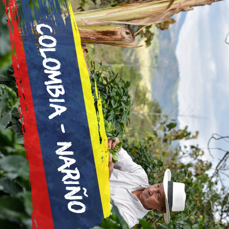 COLOMBIA NARIÑO 1 KG ROASTED COFFEE BEANS