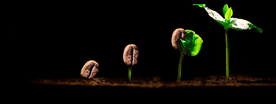 ESPRESSO BLEND ROASTED COFFEE BEANS (1KG)